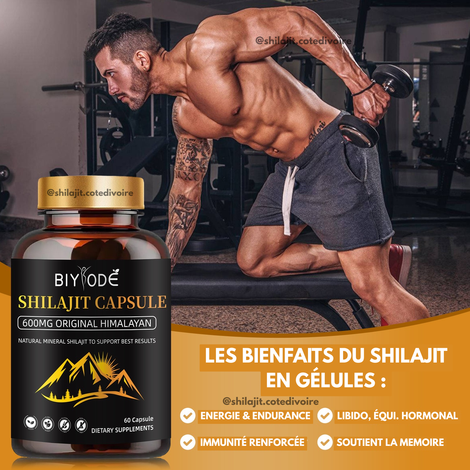 Redécouvre ton potentiel avec les gélules de Shilajit Himalaya : l’énergie au naturel !