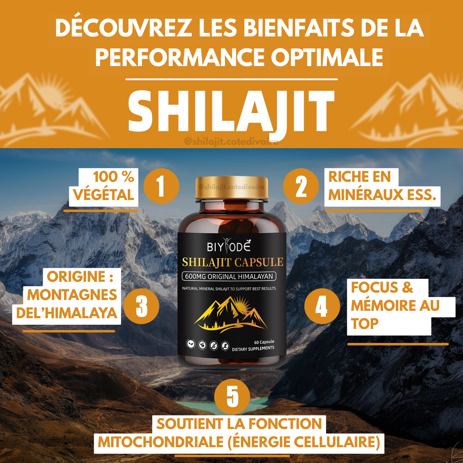 Redécouvre ton potentiel avec les gélules de Shilajit Himalaya : l’énergie au naturel !